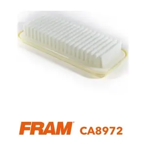 FRAM CA8972