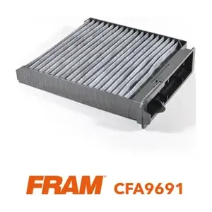 FRAM CFA9691