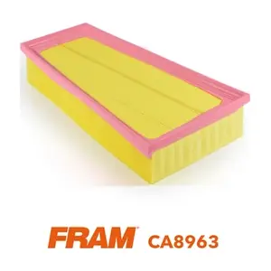 CA8963 FRAM