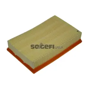 FRAM CA8919