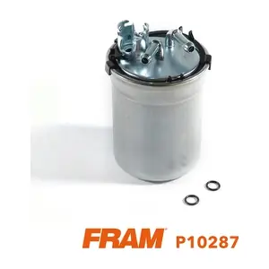 P10287 FRAM