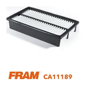 CA11189 FRAM