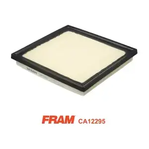 CA12295 FRAM