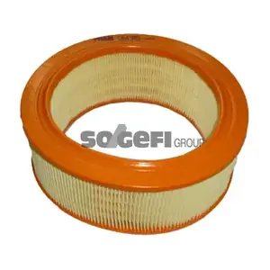 FRAM CA4385