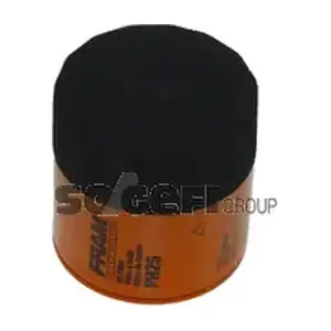 FRAM PH25