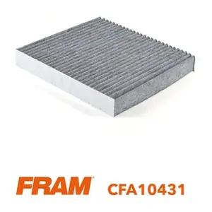 FRAM CFA10431