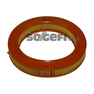 FRAM CA3118