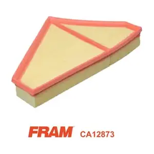 CA12873 FRAM