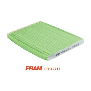 FRAM CFH12717