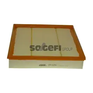 FRAM CA10290