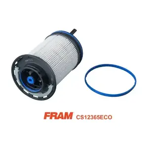 CS12365 FRAM