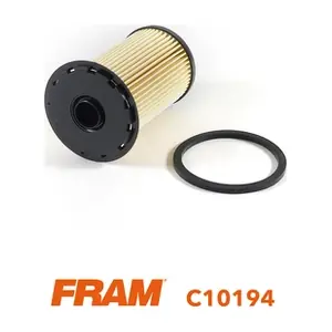 FRAM C10194