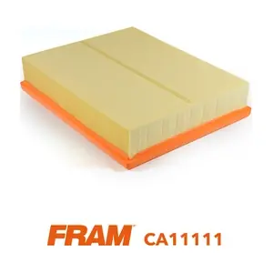 CA11111 FRAM