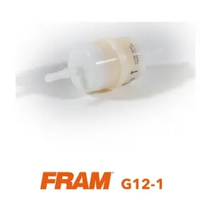 FRAM G12/1