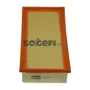 CA8220 FRAM