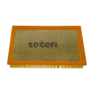 FRAM CA8817
