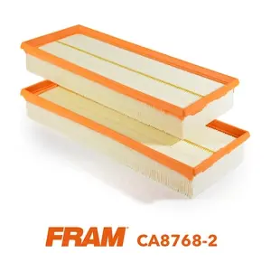FRAM CA8768-2