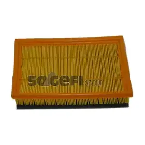 CA9861 FRAM