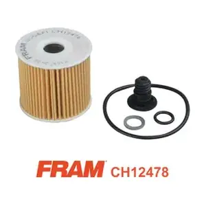 CH12478 FRAM