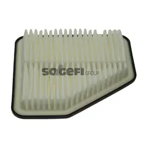 FRAM CA10169