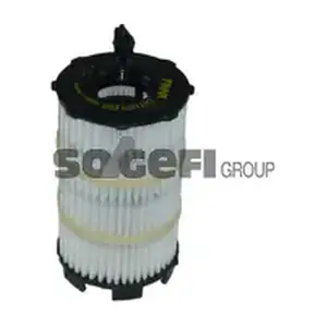CH11079ECO FRAM