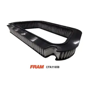 CFA11658 FRAM