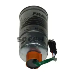 FRAM PS10098EWS
