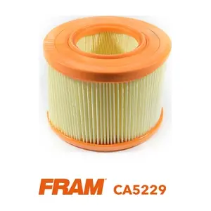 CA5229 FRAM