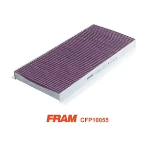 FRAM CFP10055