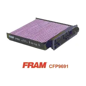 FRAM CFP9691