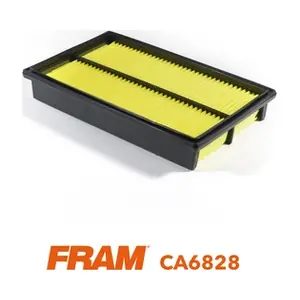 FRAM CA6828