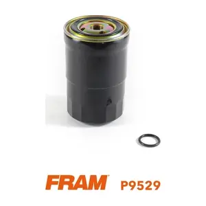 P9529 FRAM