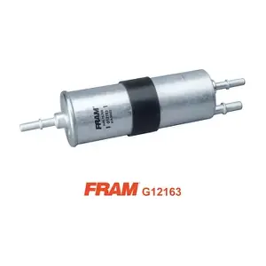 FRAM G12163