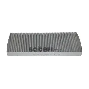 FRAM CFA10307