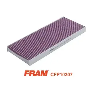 FRAM CFP10307
