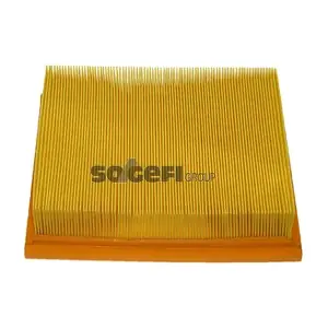 FRAM CA5370