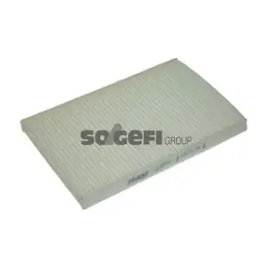FRAM CF 10893
