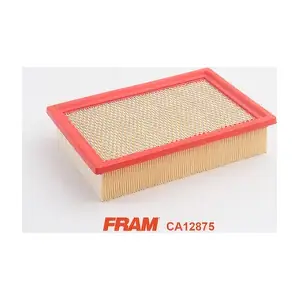 CA12875 FRAM
