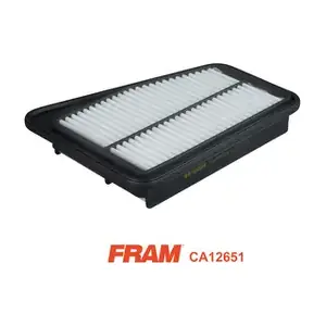 CA12651 FRAM