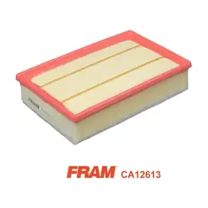 CA12613 FRAM
