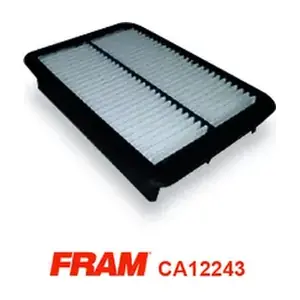 CA12243 FRAM