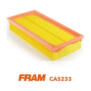 FRAM CA5233