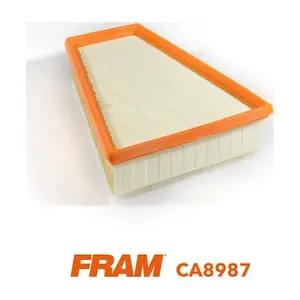 FRAM CA8987