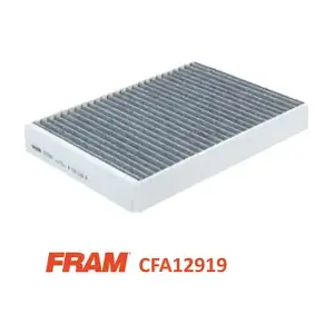 CFA12919 FRAM