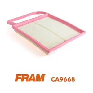 CA9668 FRAM