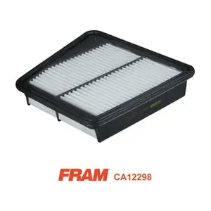CA12298 FRAM