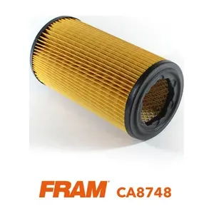 FRAM CA8748