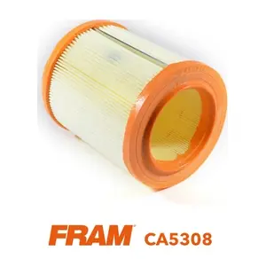 CA5308 FRAM