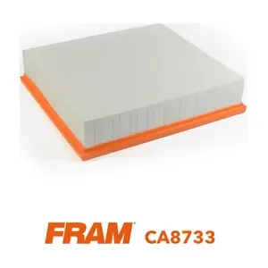 FRAM CA8733
