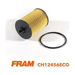 CH12456ECO FRAM